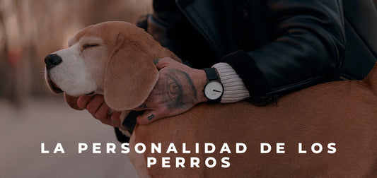 PERROS, ESPEJO DE LAS PERSONALIDADES DE SUS DUEÑOS